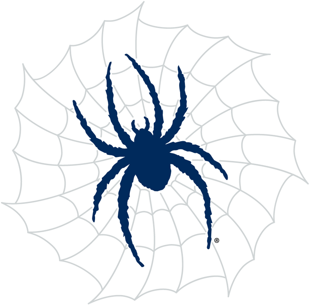 Richmond Spiders 2002-Pres Alternate Logo v4 diy iron on heat transfer